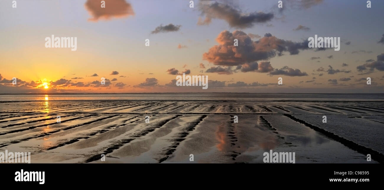 Sylt mallín, Mar de Wadden, Munkmarsch en Sylt, Schleswig-Holstein, Alemania, Europa Foto de stock
