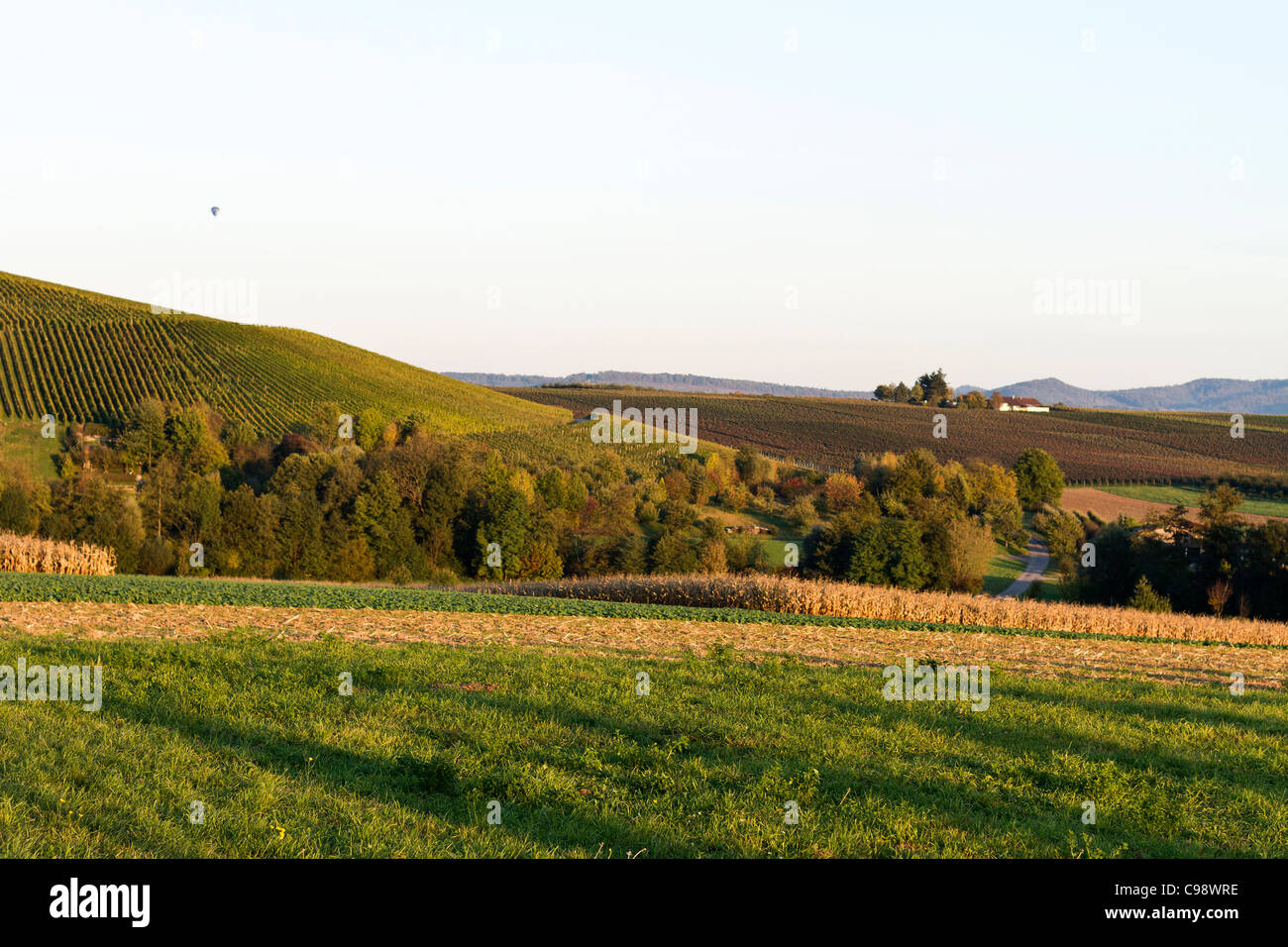 El paisaje agrícola, con viñedos y huertos en el sur de Alemania Foto de stock