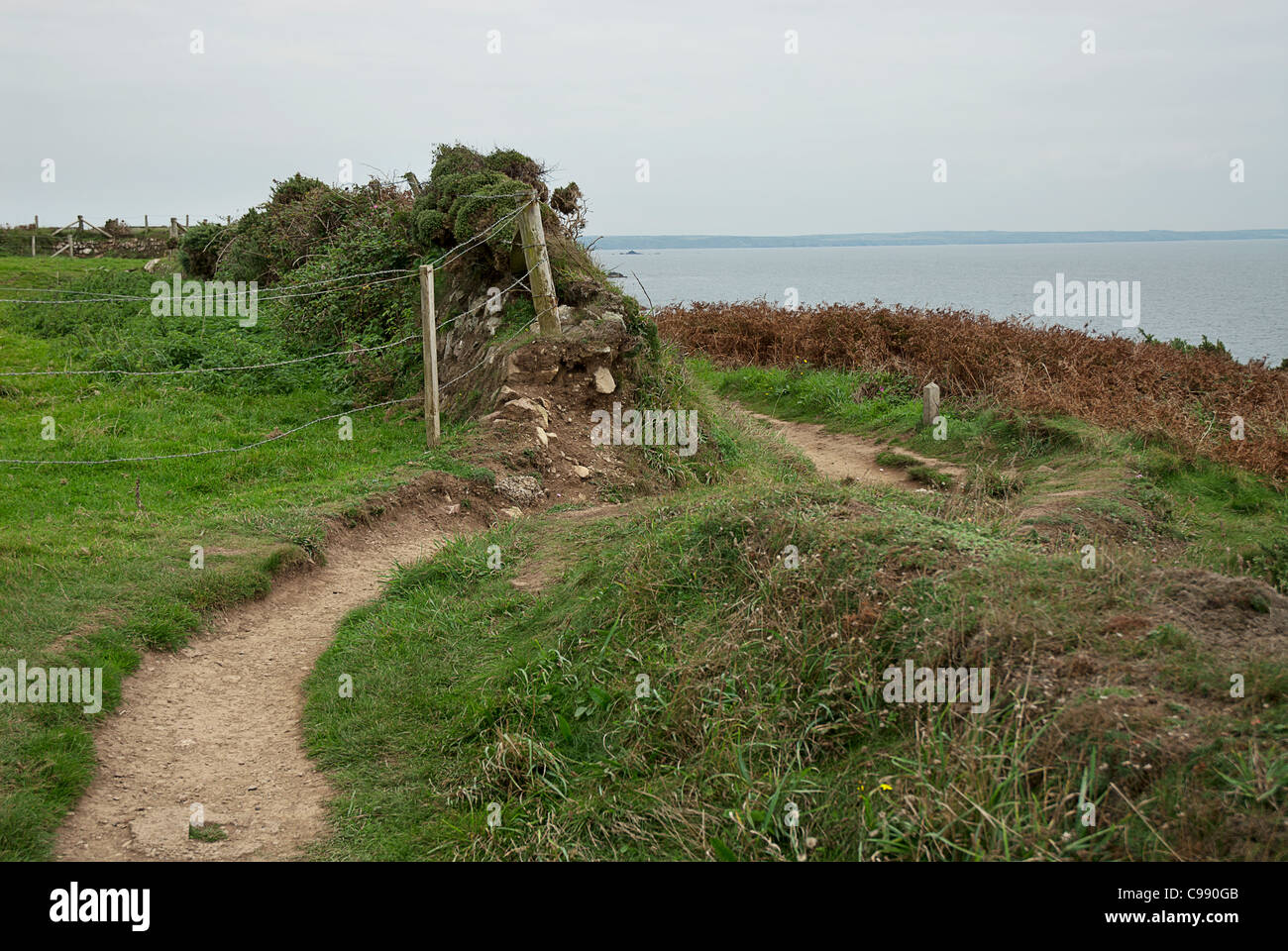 Gran Bretaña, Gales pembrokeshire, ruta costera Foto de stock