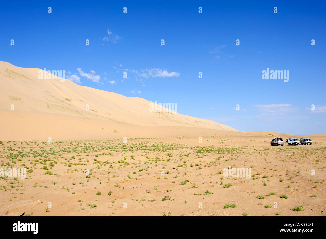 Área de arena (Khongoryn Khongoryn Els) en el desierto de Gobi, Mongolia Foto de stock