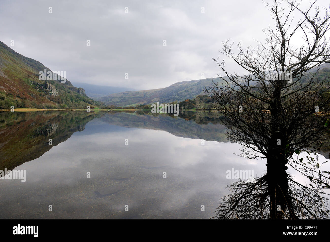 Llyn Gwynant en el río Glaslyn parque nacional de Snowdonia Gwynedd North Wales uk Foto de stock