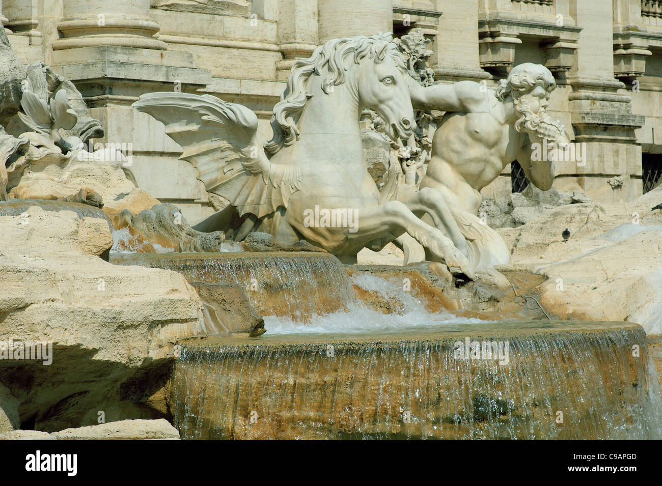 Fontana di Trevi Fontana di Trevi Roma Foto de stock