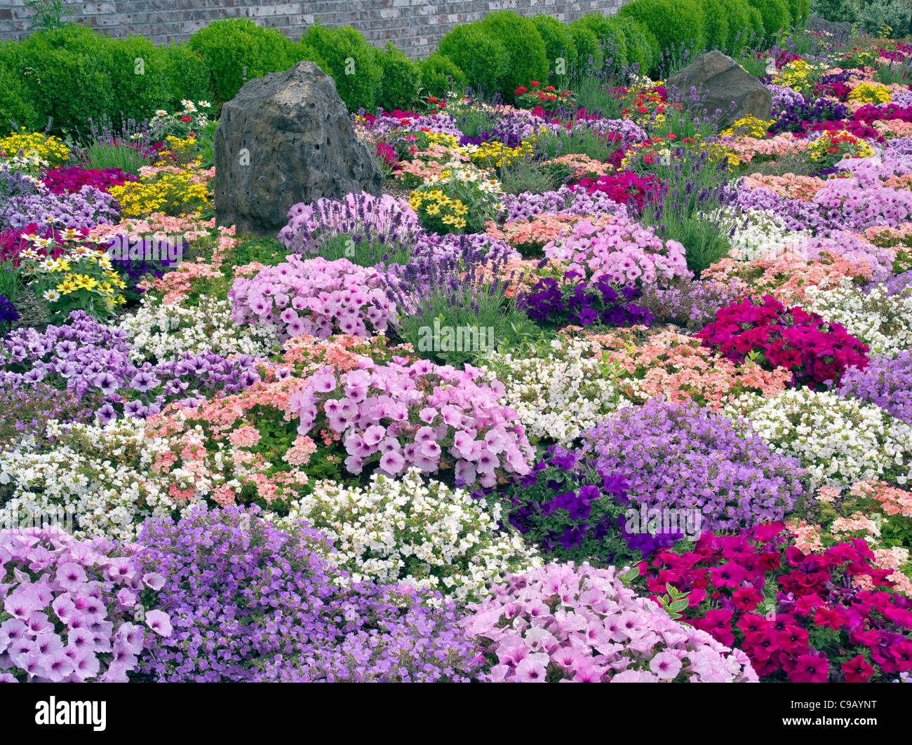 Flores mixtas en paisajismo en Al's Nursery, Oregón Foto de stock