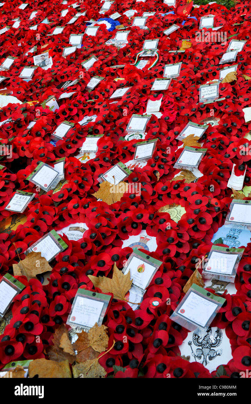 Memorial ofrendas florales en el cenotafio, Whitehall, Londres Foto de stock