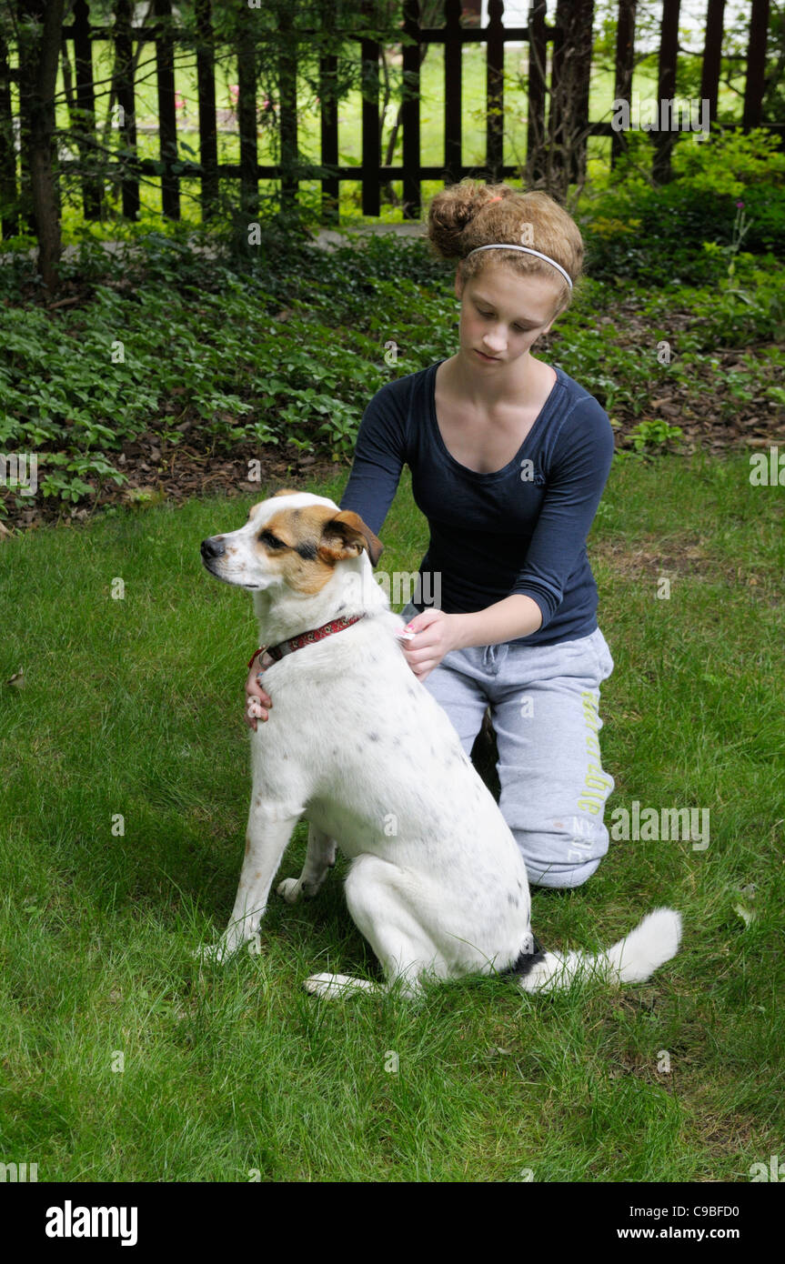 Chica, 12-13, aplicar medicamento para prevenir las pulgas y garrapatas (Advantage o Frontline) a un perro de la piel Foto de stock