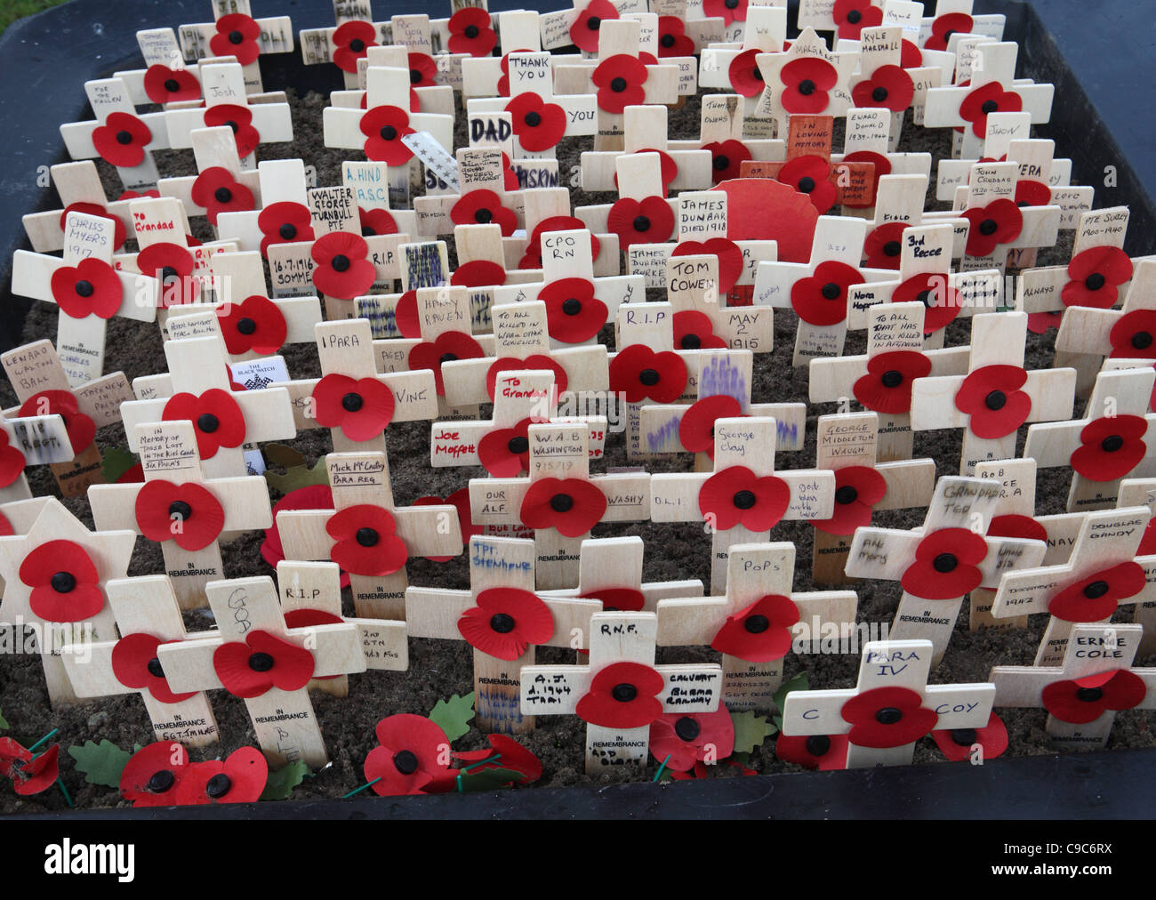 Un monumento a los muertos en la guerra, amapolas y pequeñas cruces de madera, Eldon Square, Newcastle, noreste de Inglaterra, Reino Unido. Foto de stock
