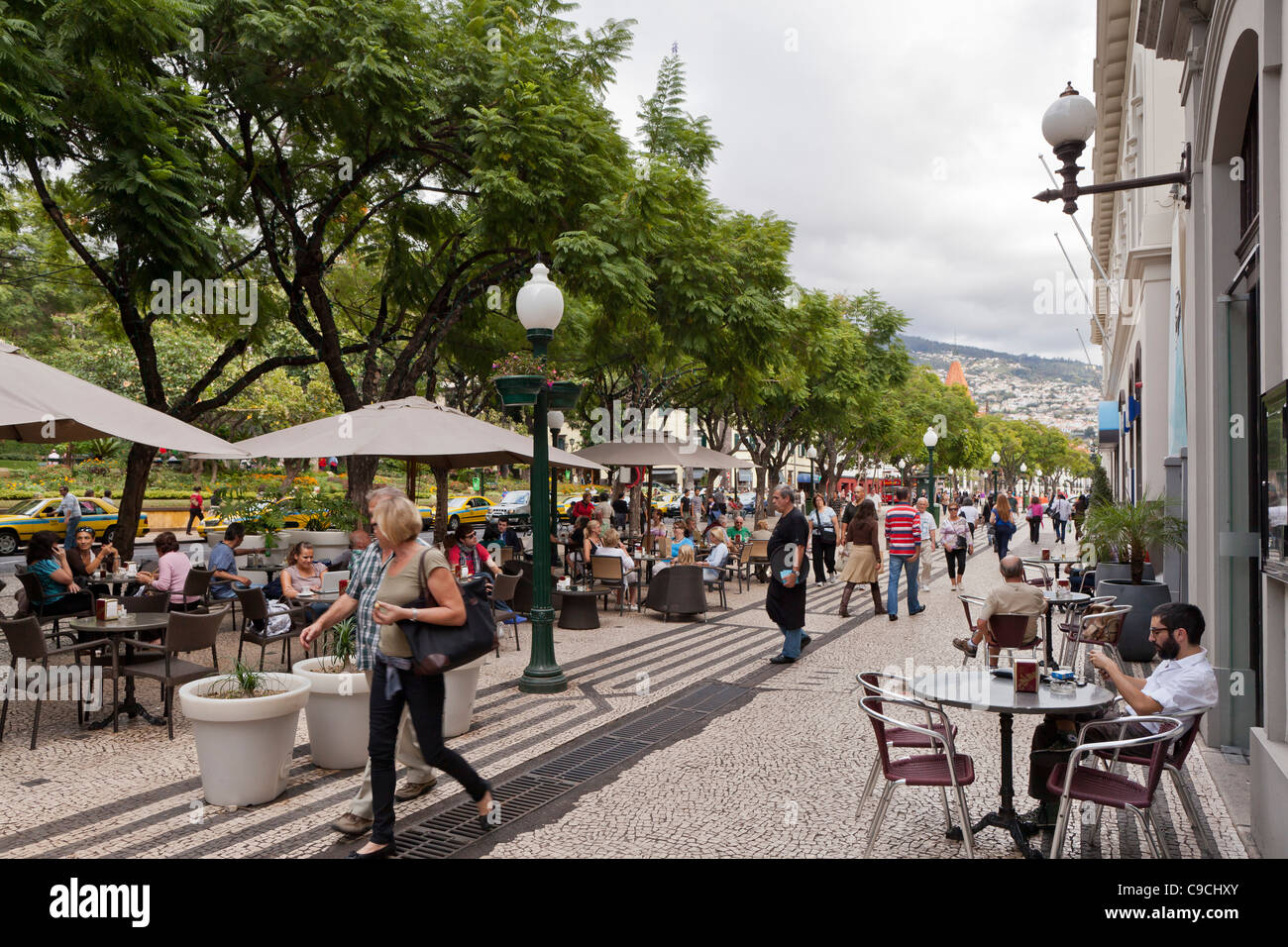 Calle en Funchal, Madeira, Portugal, Europa Foto de stock