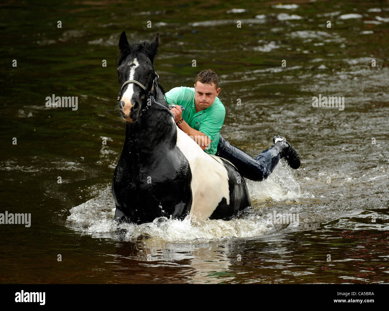 Appleby 2012 Feria del Caballo. Miles de personas de la comunidad de gitanos y nómadas descienden en la pequeña ciudad de Cumbria Appleby en Westmorland para la anual Feria de nuevo Appleby. La antigua feria se remonta a varios siglos y es uno de los principales eventos del año para la comunidad de gitanos y nómadas. El Foto de stock