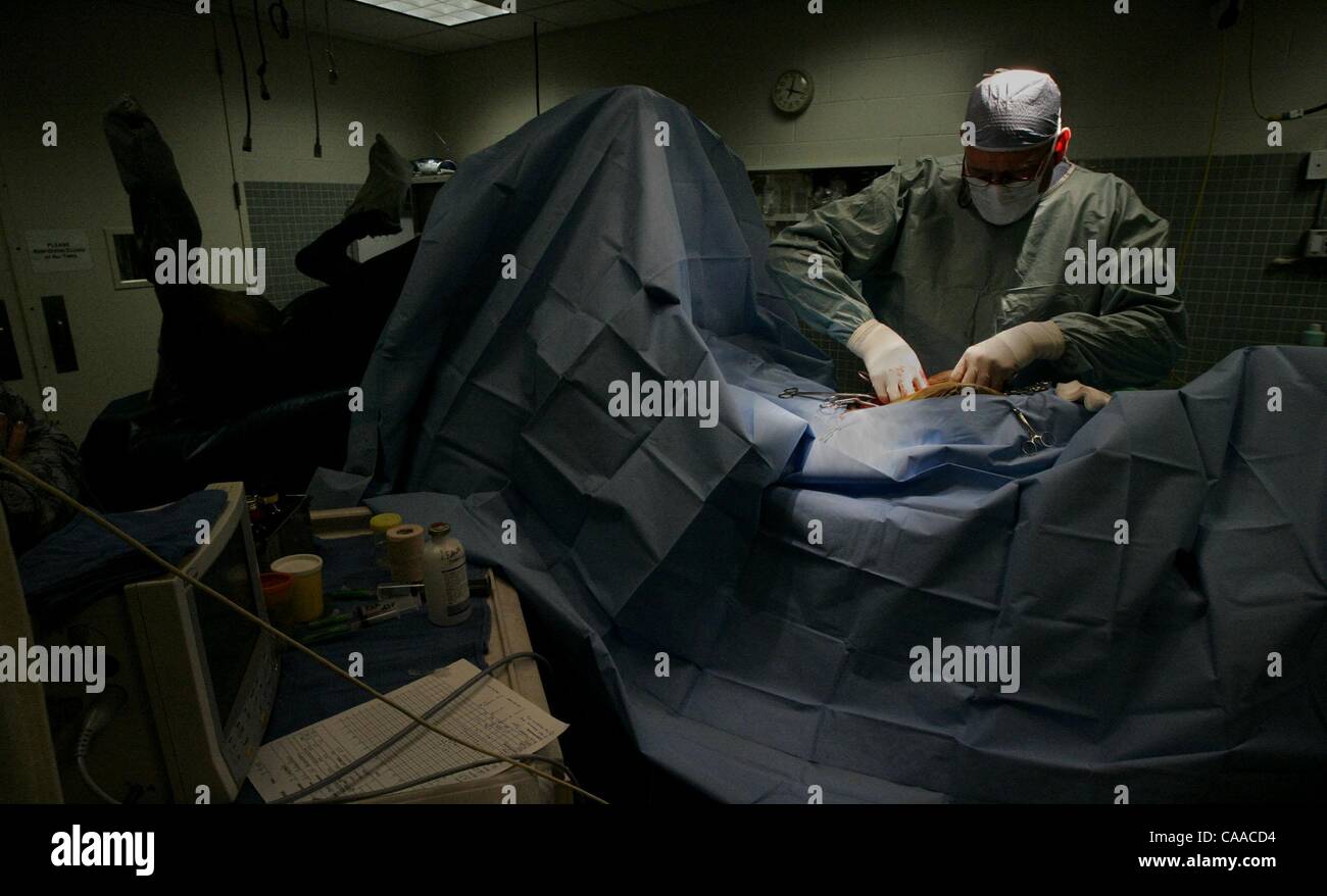 (Publicada 04/10/2005, B11,2,N1) El Dr. Lynn Richardson realiza un