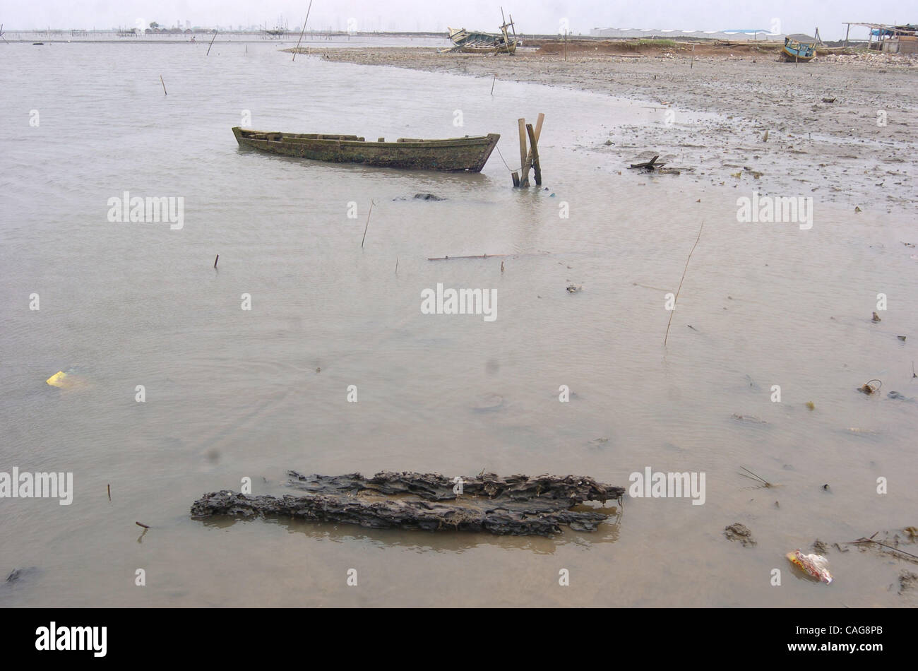 El pecio y JETSAM que anteriormente fue parcialmente el bosque de mangle, en la bahía de Yakarta el 16 de febrero de 2008. Hay menos de 150 hectáreas de manglares restantes en torno a Yakarta, después de que las autoridades de Yakarta inició programas de regeneración en la década de 1980 para los programas de desarrollo. Los manglares protegen la costa fro Foto de stock