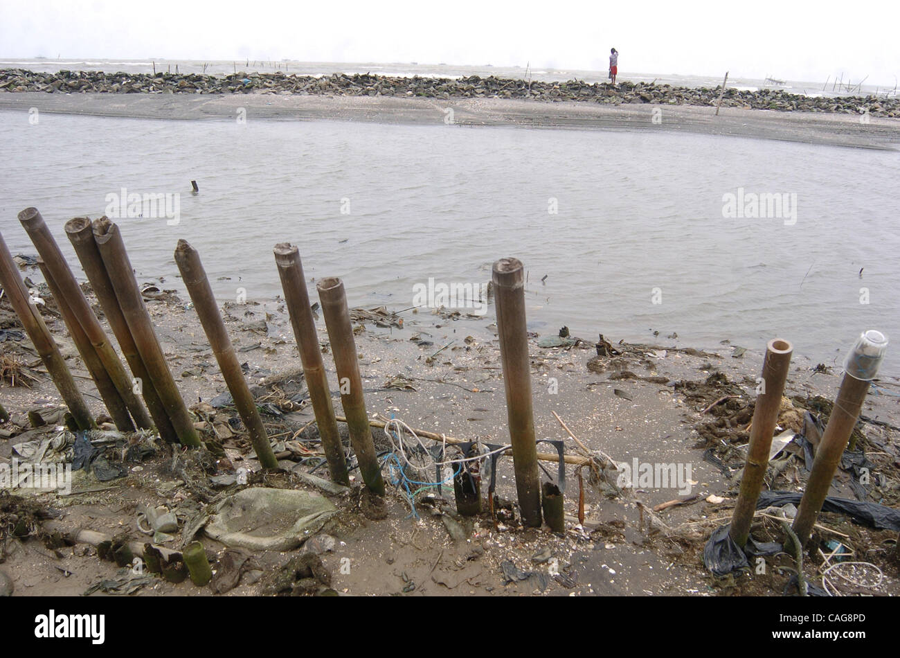 El hombre pasa una playa que anteriormente fue parcialmente el bosque de mangle, en la bahía de Yakarta el 16 de febrero de 2008. Hay menos de 150 hectáreas de manglares restantes en torno a Yakarta, después de que las autoridades de Yakarta inició programas de regeneración en la década de 1980 para los programas de desarrollo. Los manglares protegen la costa fro Foto de stock