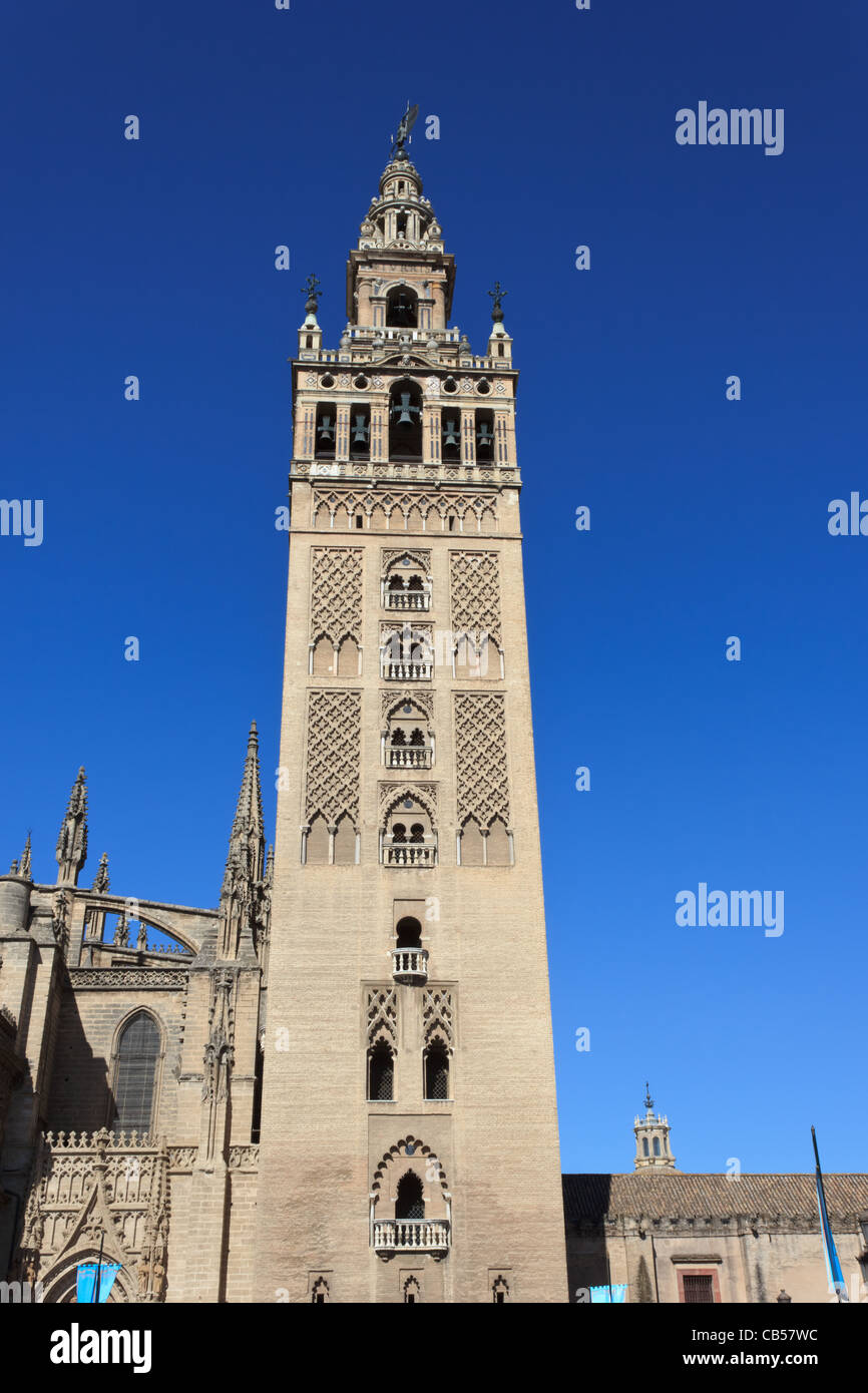 La torre de la Giralda (Catedral de Sevilla - España) Foto de stock