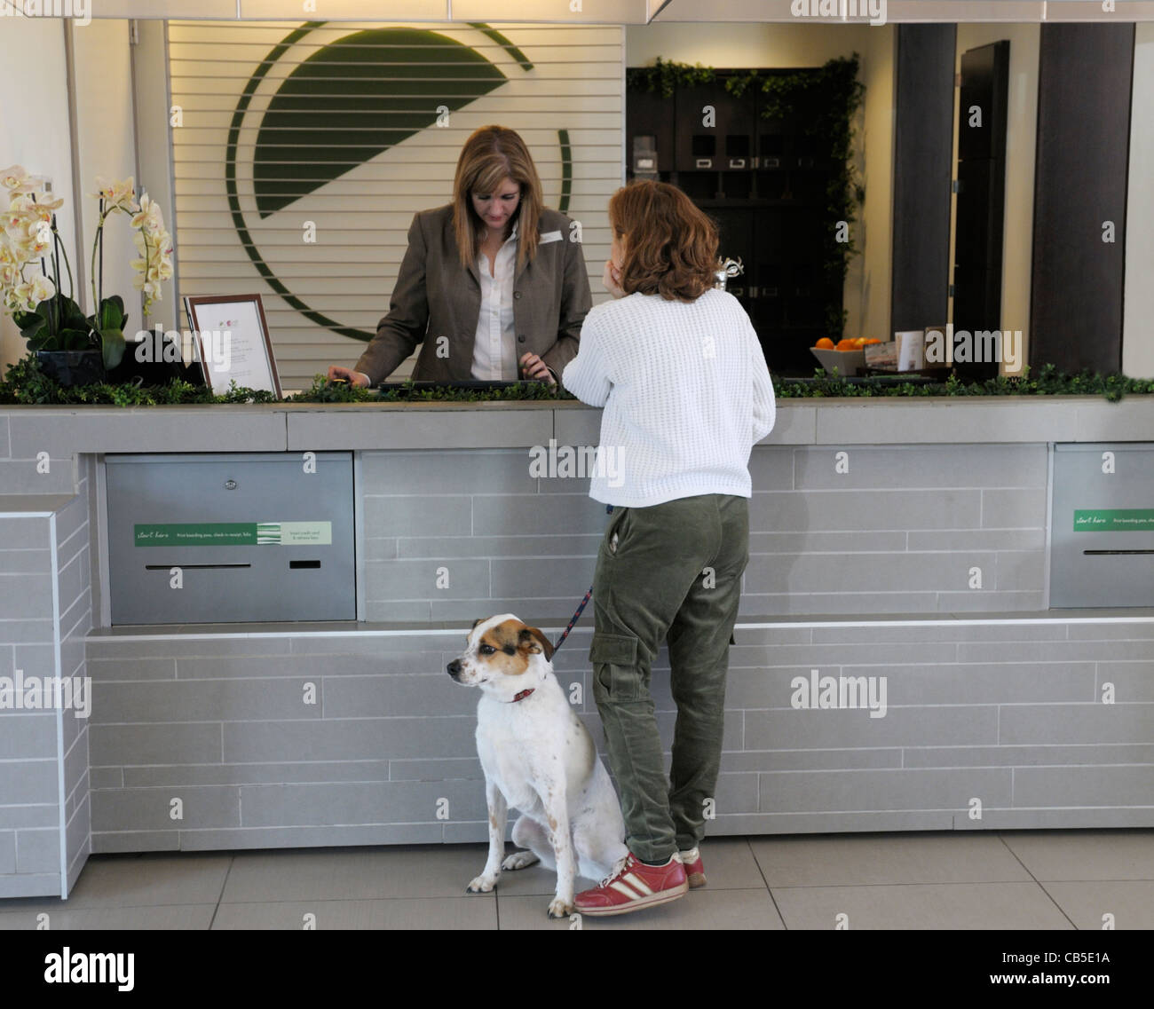 Mujer check in en un hotel amigable con perro Foto de stock