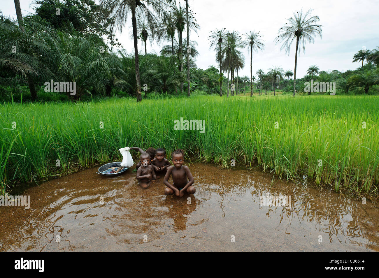 Niños lavándose a sí mismos en un manantial de agua limpia, Newton, Sierra  Leona Fotografía de stock - Alamy