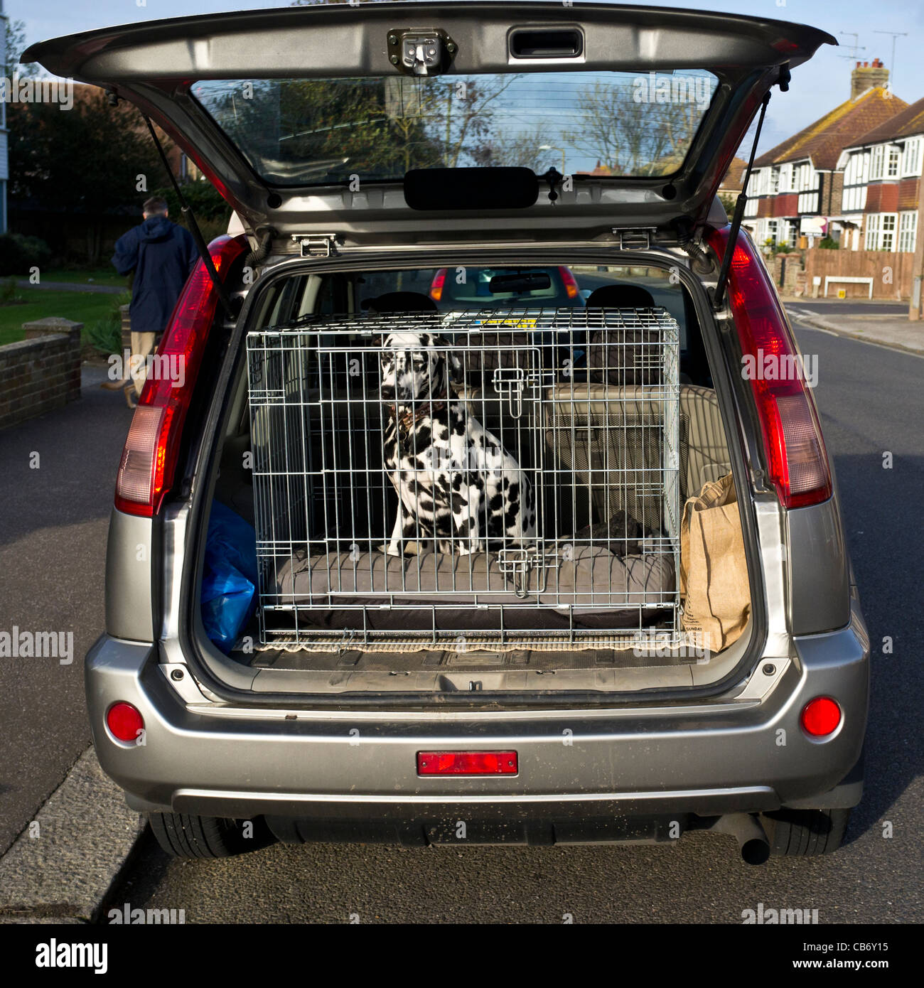Red de coche para perros, rejilla de malla para coche para mantener a los  perros y el pelo de mascotas fuera del asiento delantero