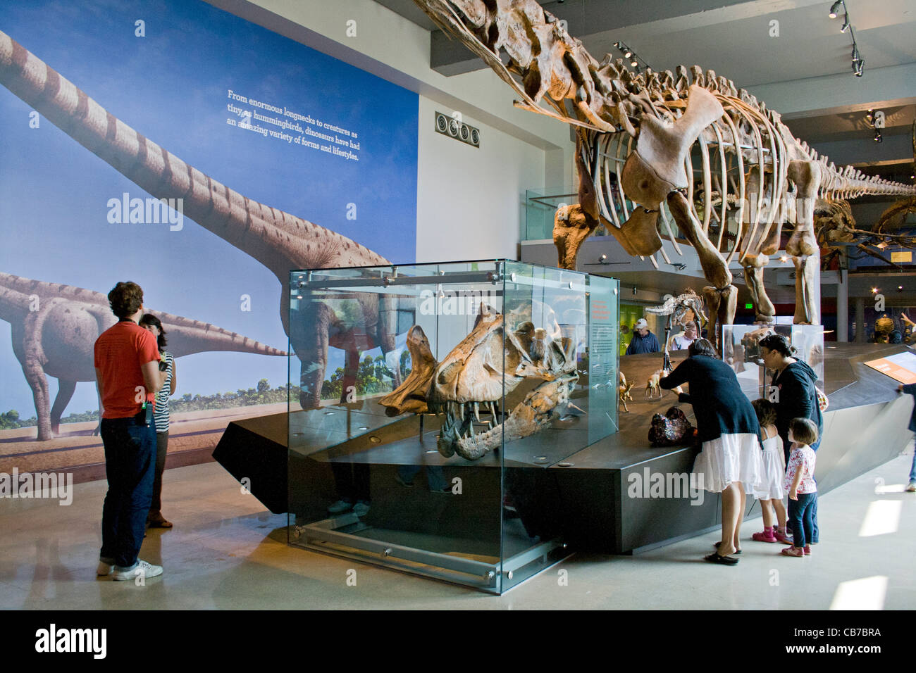 Dinosaur Hall, del Museo de Historia Natural de Los Angeles, California, EE.UU. Foto de stock