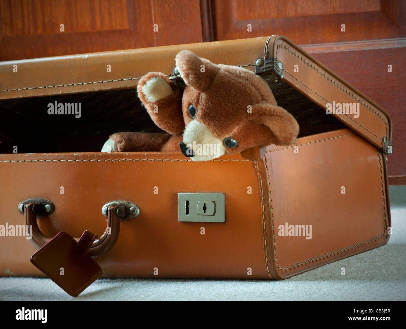 Teddy Bear vacaciones empacadas en la maleta de cuero de los años 60 staycation llegó listo viajar juguetes moviéndose casa móvil nuevo hogar Foto de stock