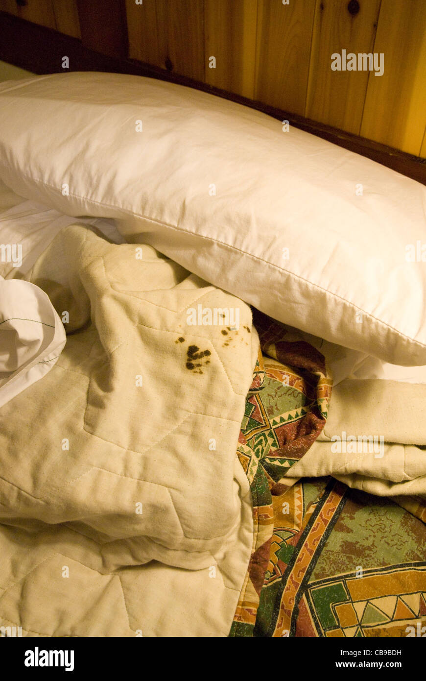 El problema de la limpieza en las habitaciones del hotel es evidenciado por manchas de sangre seca en el edredón en una habitación de motel de Texas Foto de stock