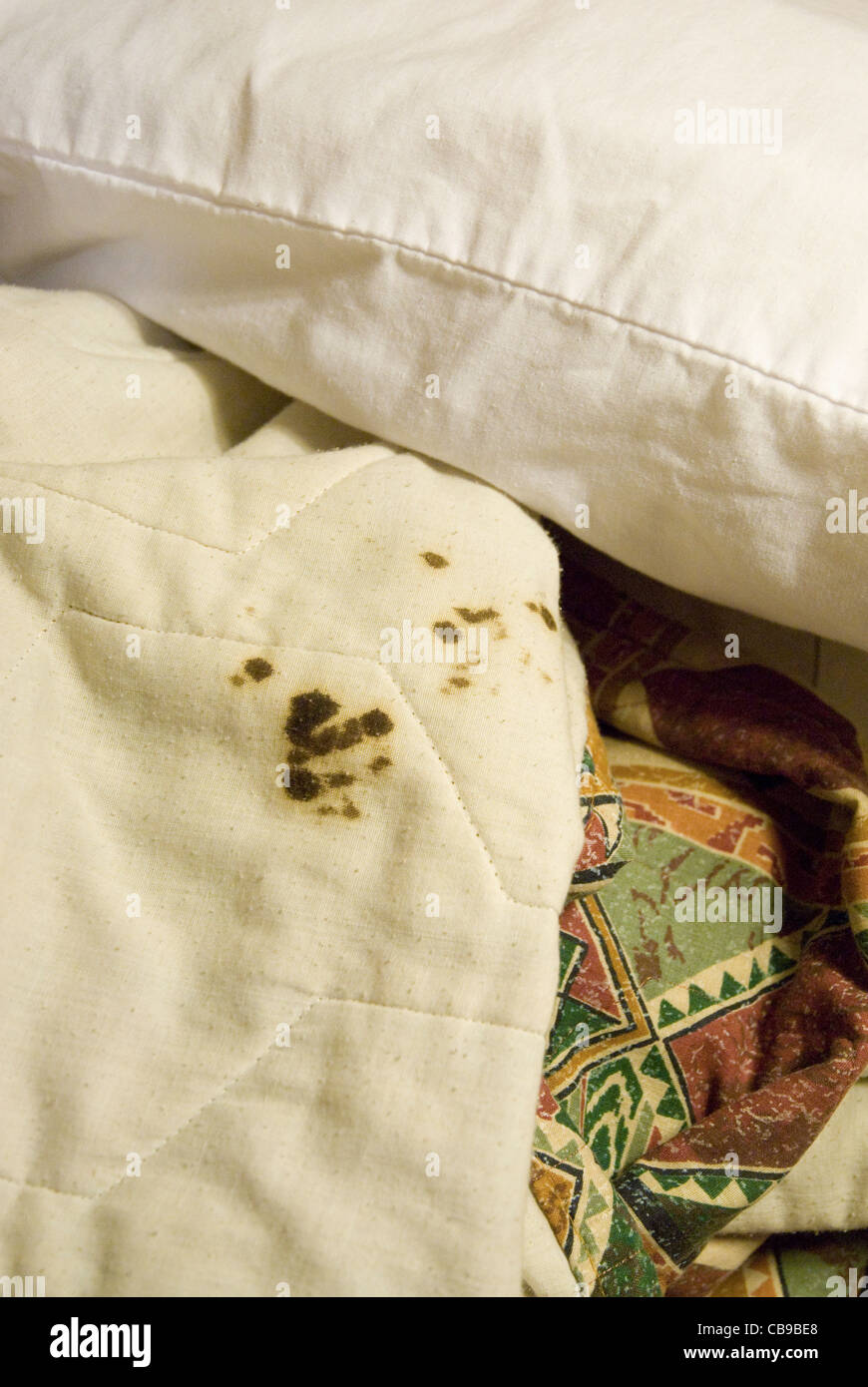 El problema de la limpieza en las habitaciones del hotel es evidenciado por manchas de sangre seca en el edredón en una habitación de motel de Texas Foto de stock