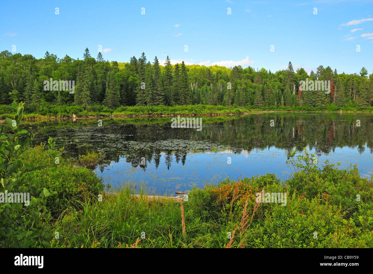Parque Nacional Algonquin, Ontario Foto de stock