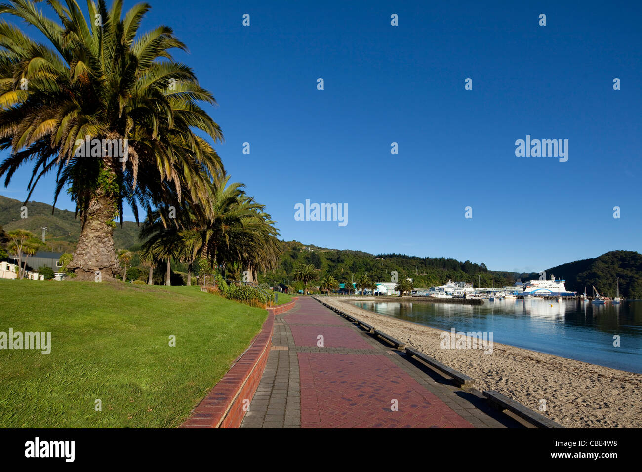 Picton, Marlborough, Isla del Sur, Nueva Zelanda Foto de stock