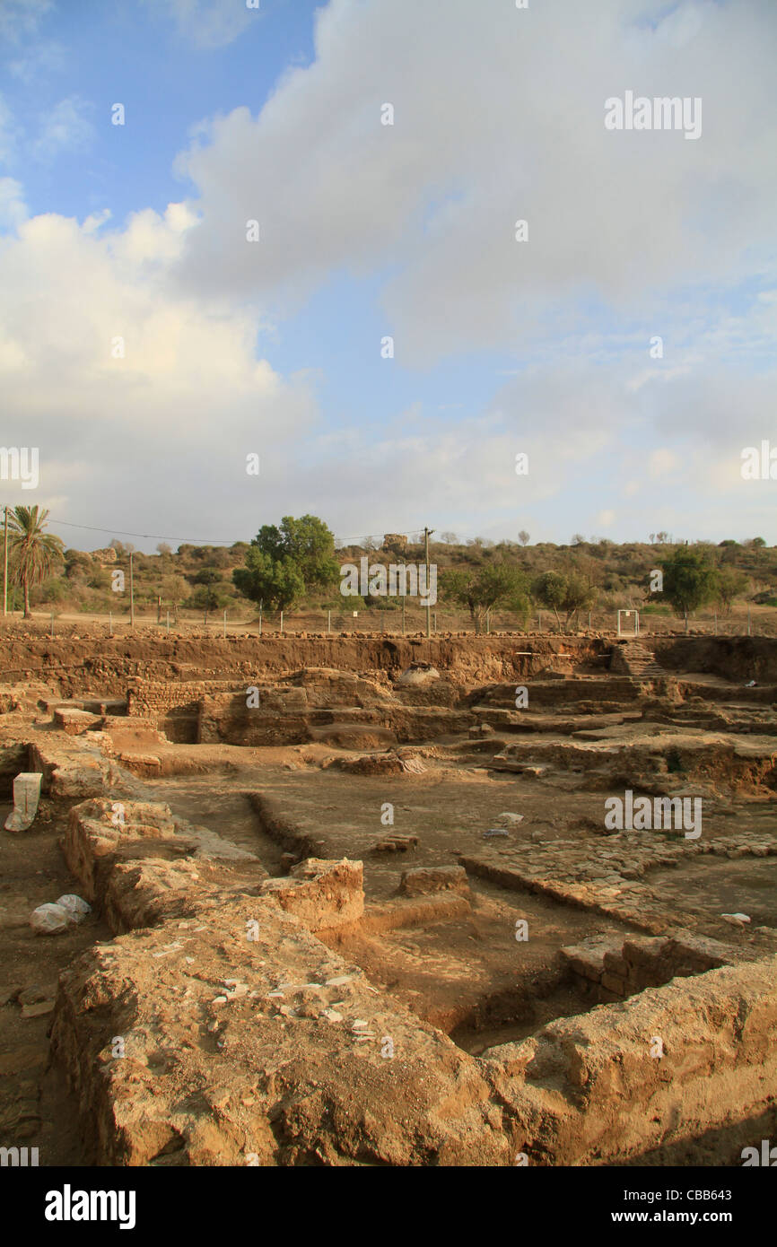 Israel, Llanura Costera, las excavaciones arqueológicas en Ashkelon, sitio de la herodiana Basílica Foto de stock