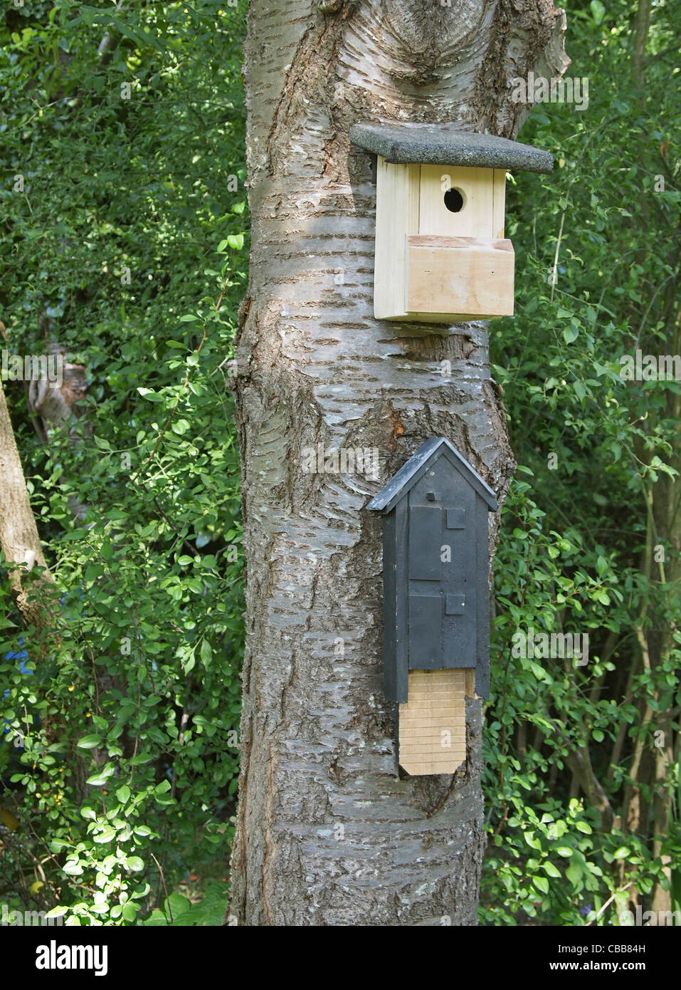 Caja de anidación de aves Foto de stock