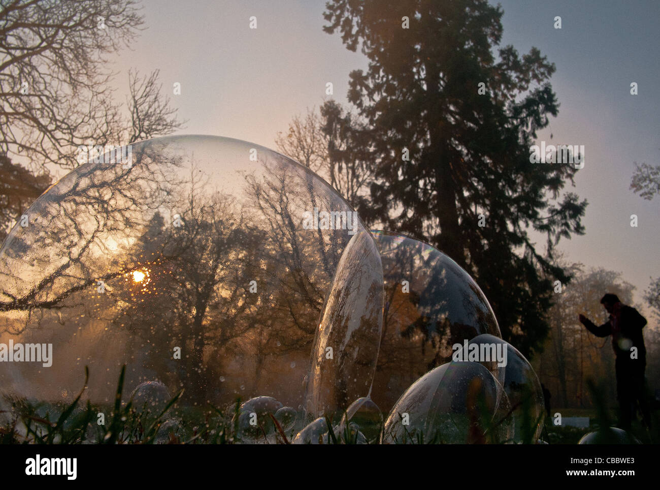 El árbol y sus vecinos, un artista haciendo burbujas gigantes en la madrugada en el Bois de Boulogne .. Foto de stock