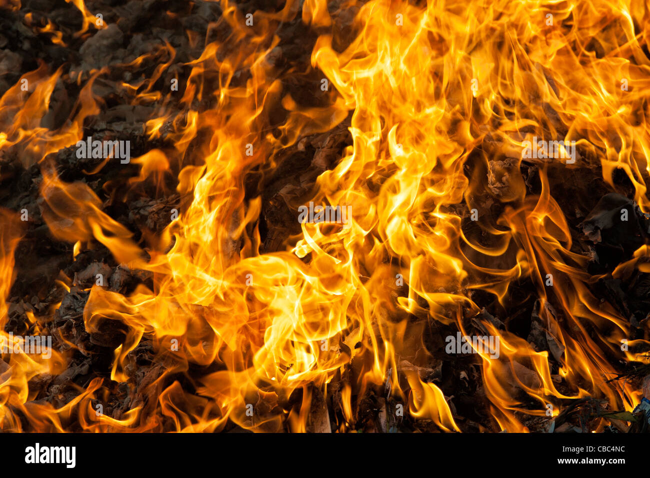 La quema de residuos domésticos en la india rural. En Andhra Pradesh, India Foto de stock