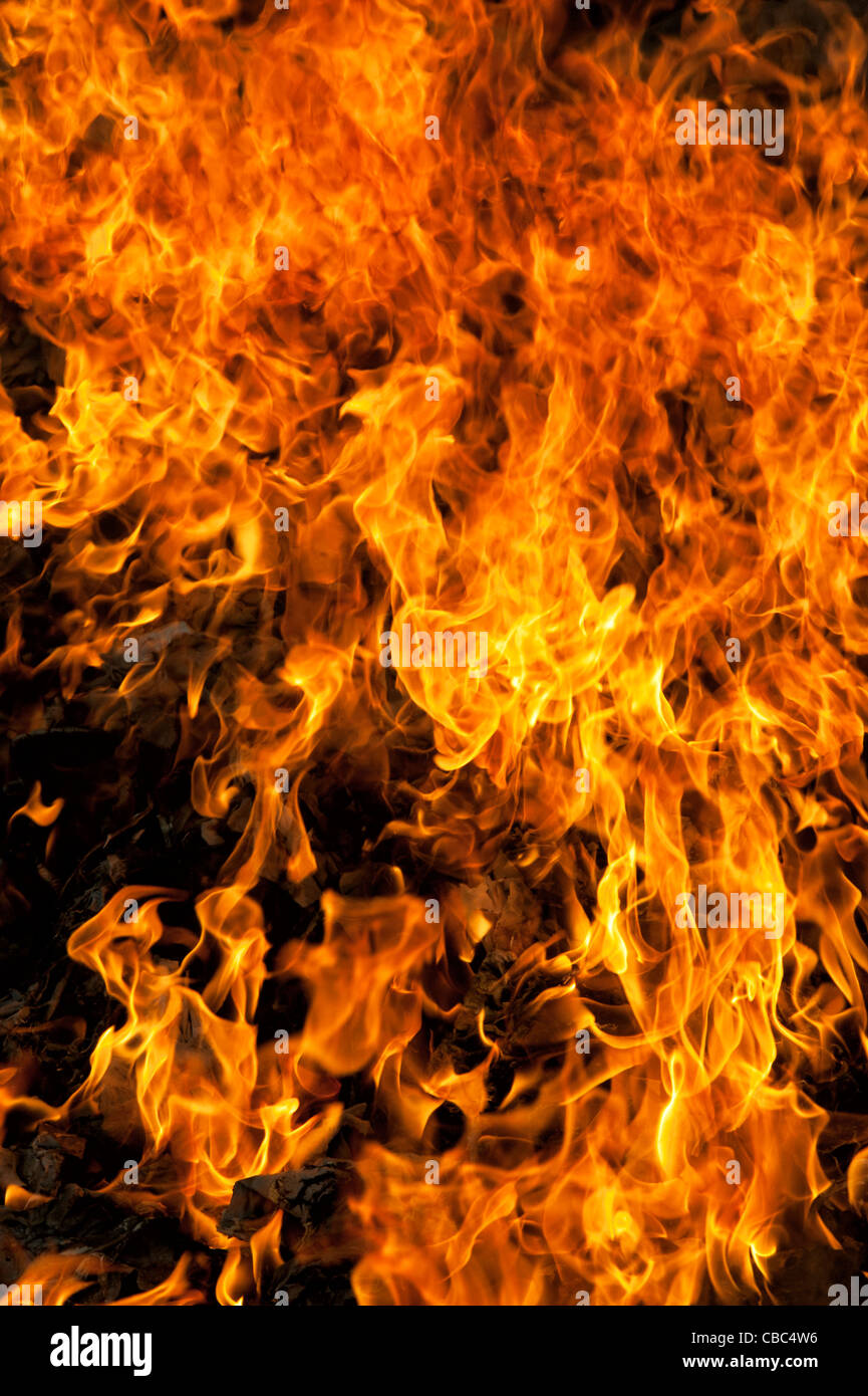La quema de residuos domésticos en la india rural. En Andhra Pradesh, India Foto de stock