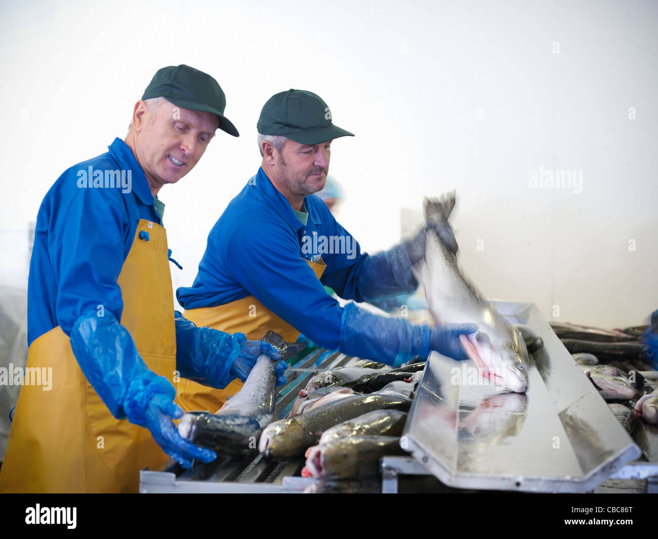 Pescaderías con la pesca del día Foto de stock