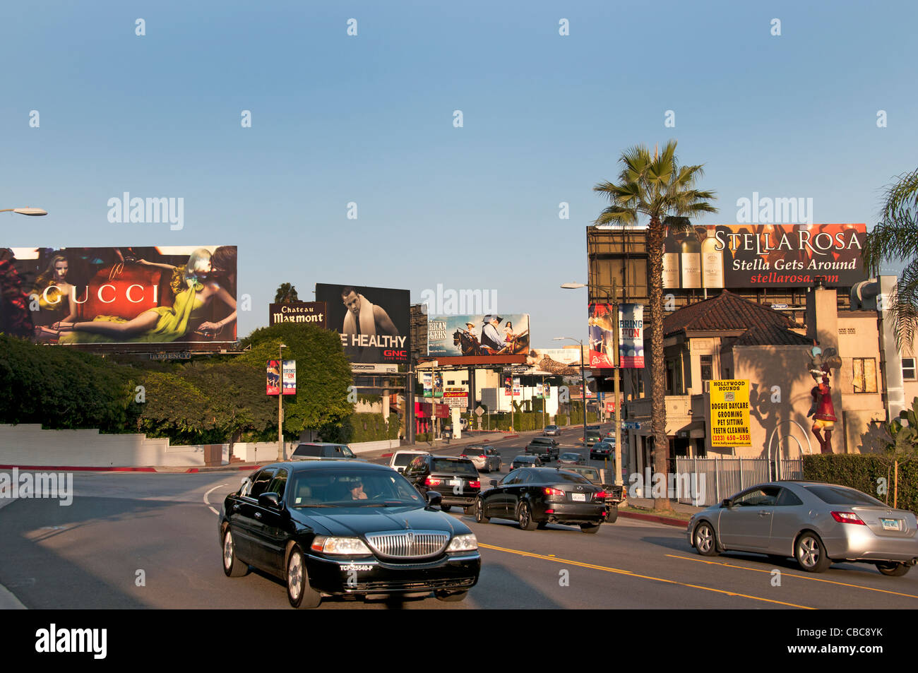 Sunset Boulevard Beverly Hills en Los Ángeles, Estados Unidos de América American USA Los Angeles Foto de stock