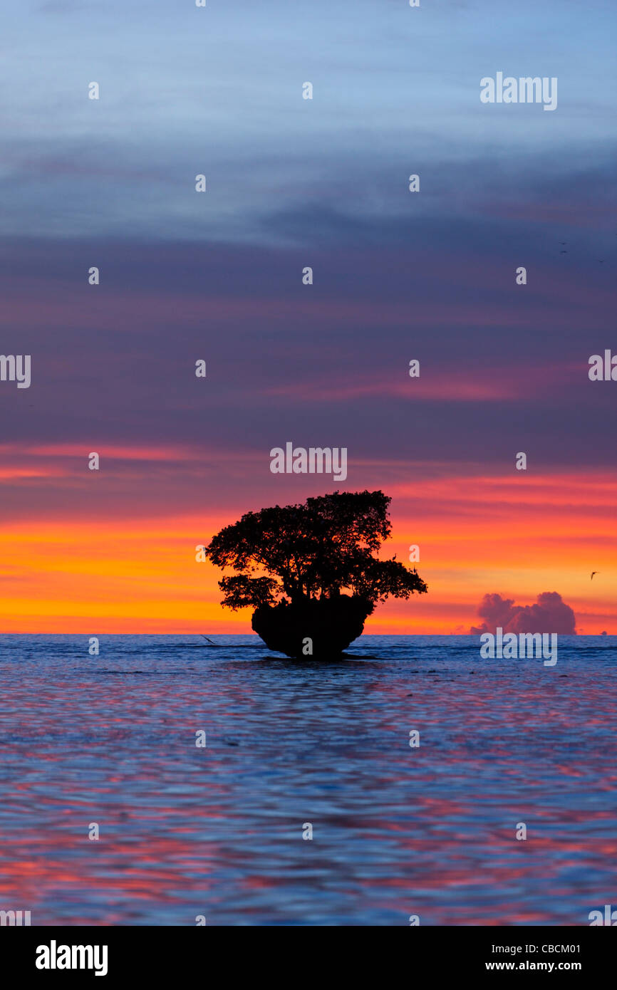 Atardecer en la bahía de Cenderawasih, la bahía de Cenderawasih, Papua Occidental, Indonesia Foto de stock