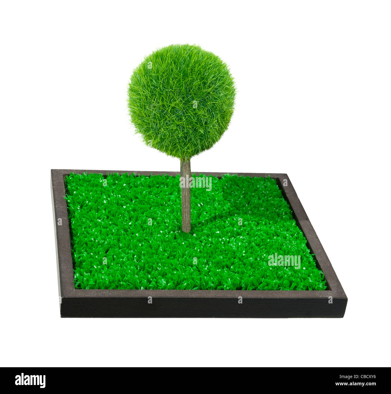 Un árbol solitario en una pequeña mancha de hierba verde que representa un jardín personal - Ruta incluida Foto de stock