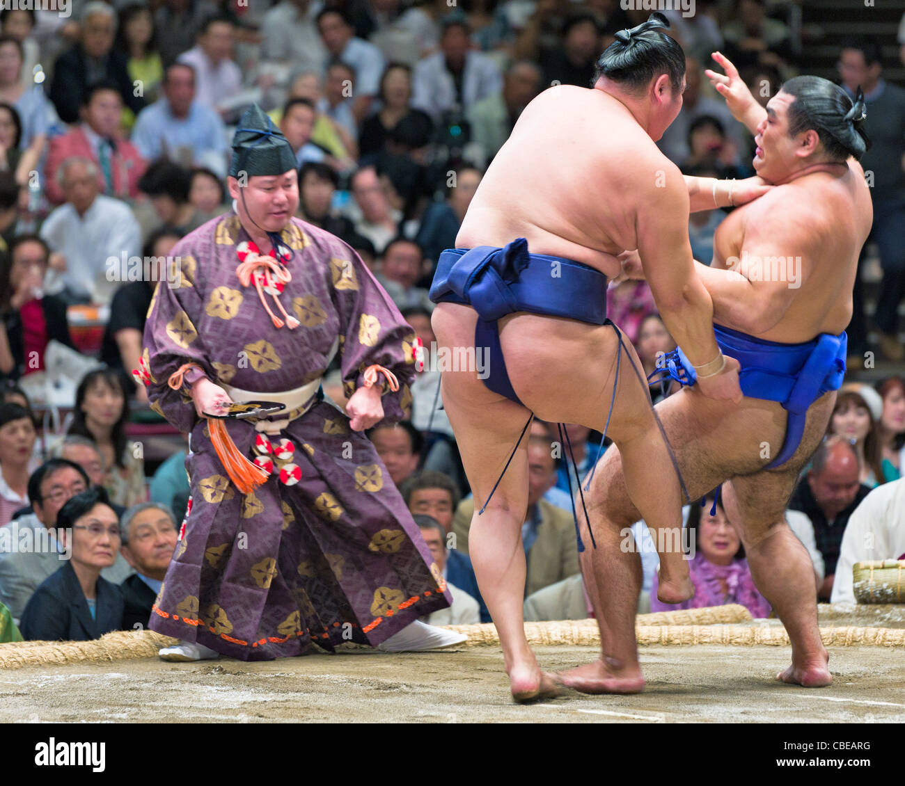 Un árbitro relojes dos luchadores de sumo competir en el Gran Torneo de Sumo de Tokio, Tokio, Japón Foto de stock