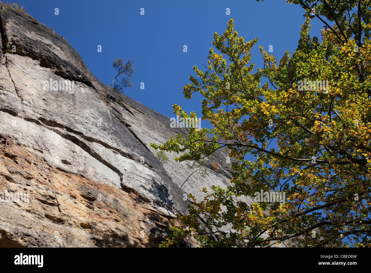 Las rocas de piedra arenisca en el valle del Kirnitzsch. Las montañas de arenisca del Elba, en el Estado federado de Sajonia, Alemania. Foto de stock