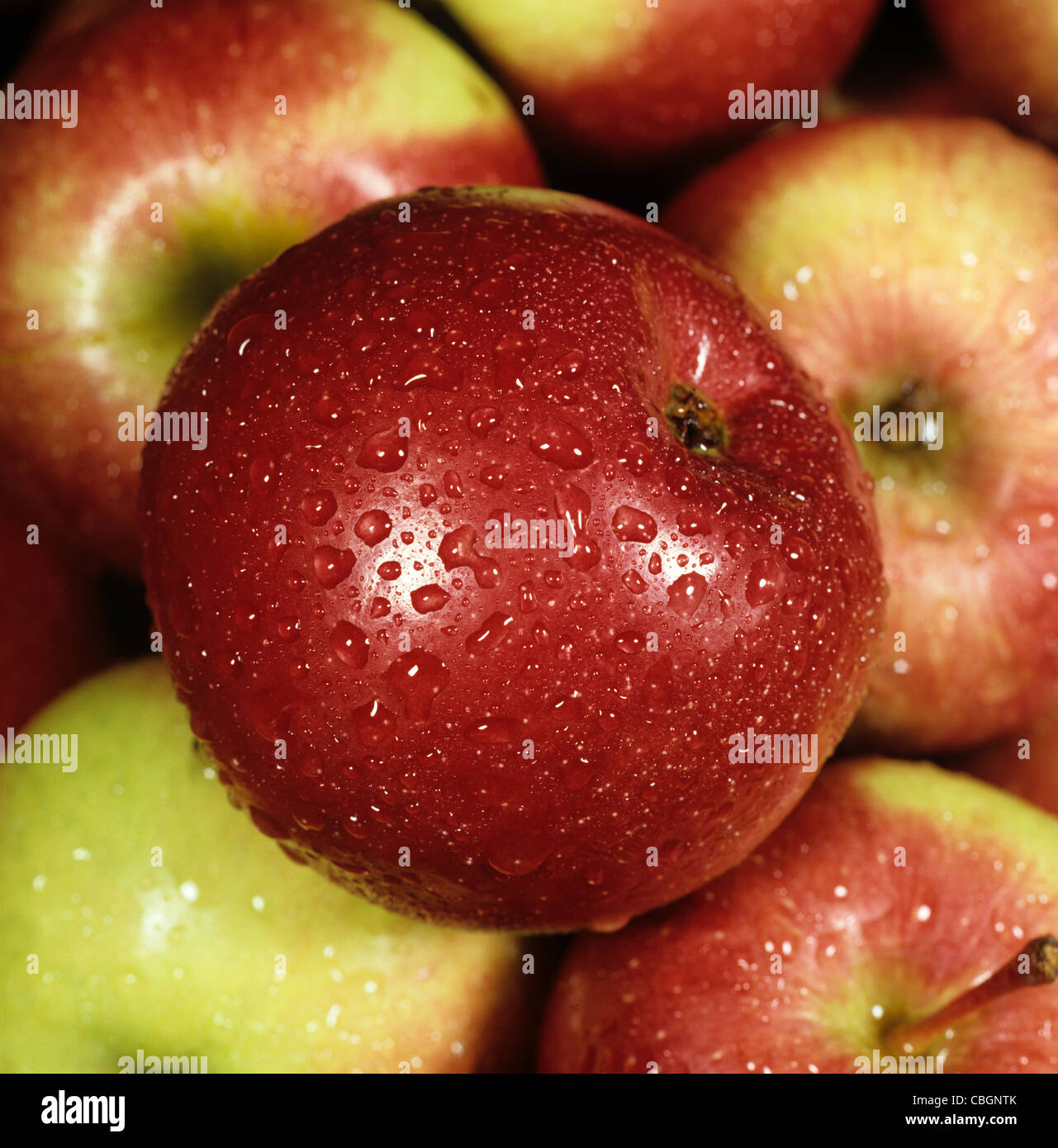 Apple, un canadiense de fruta variada, por ejemplo, tienda, con gotas de agua Foto de stock