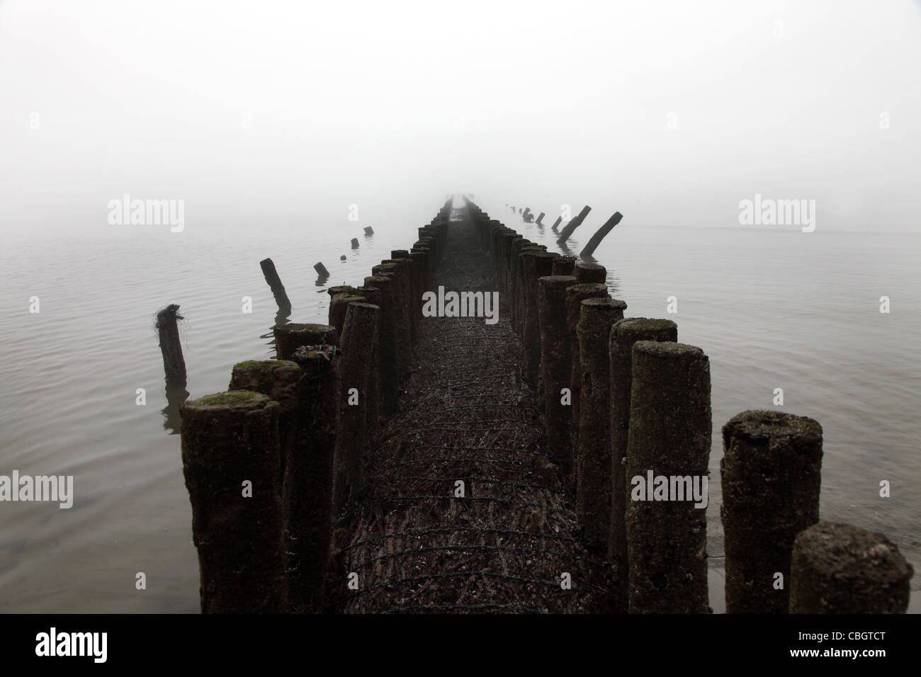 Marea baja una espesa niebla, rompeolas, en la orilla del mar del Norte de la isla East-Frisian Spiekeroog, Baja Sajonia, Alemania, Europa. Foto de stock