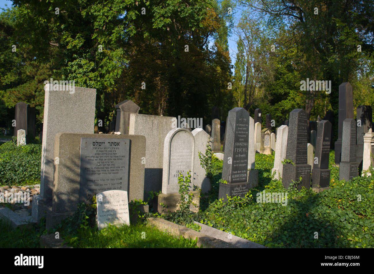 Novy zidovsky hrbitov el nuevo cementerio judío distrito de Zizkov en Praga, República Checa Europa Foto de stock
