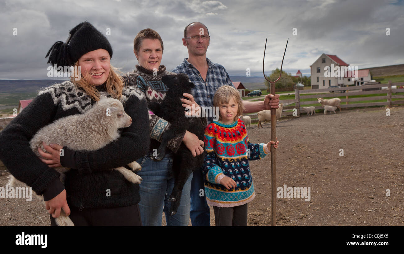 En la granja de la familia Gilsbakki Farm, en el oeste de Islandia Foto de stock