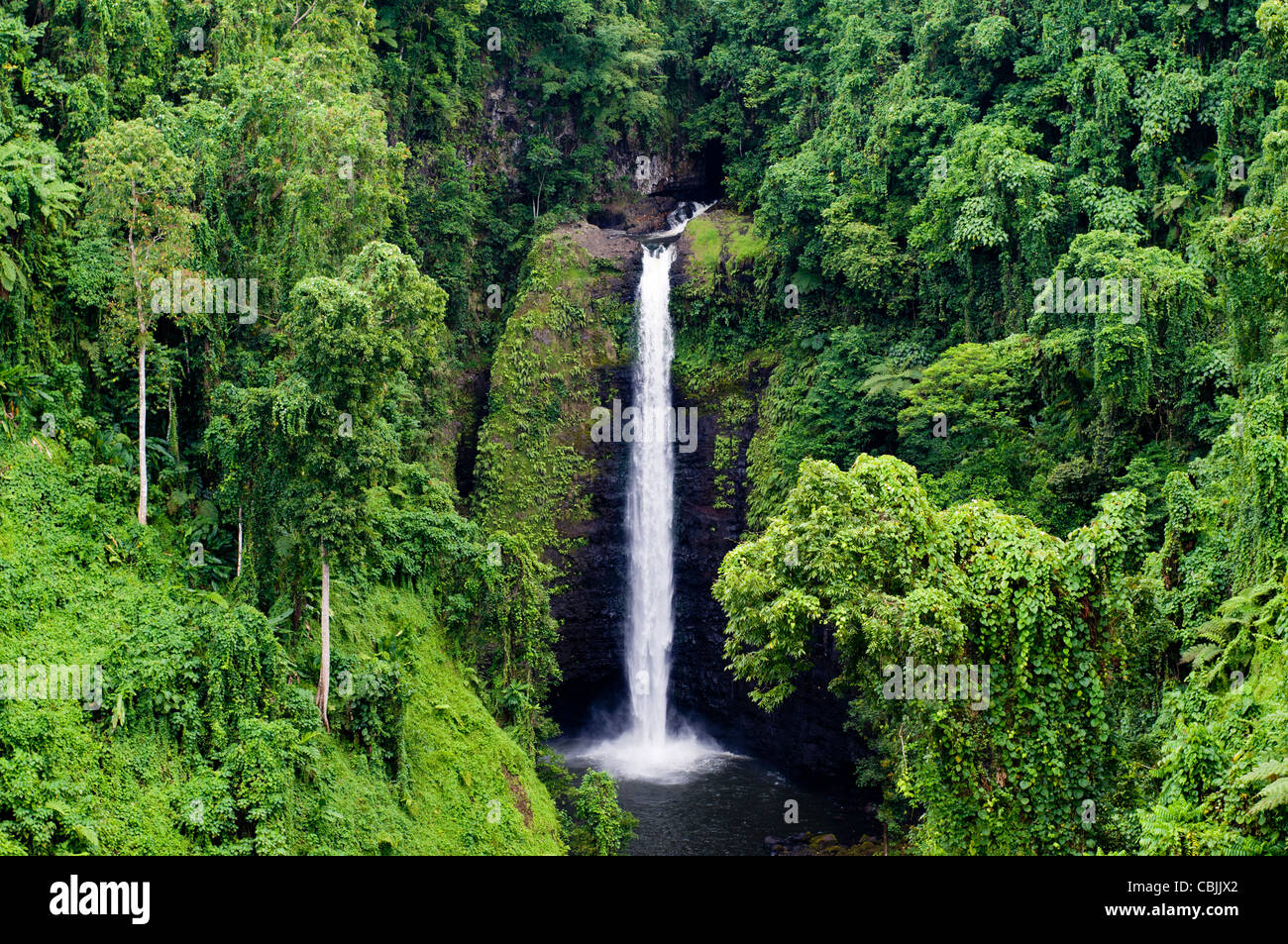 Caída de agua, rodeado por una exuberante vegetación, Samoa Foto de stock