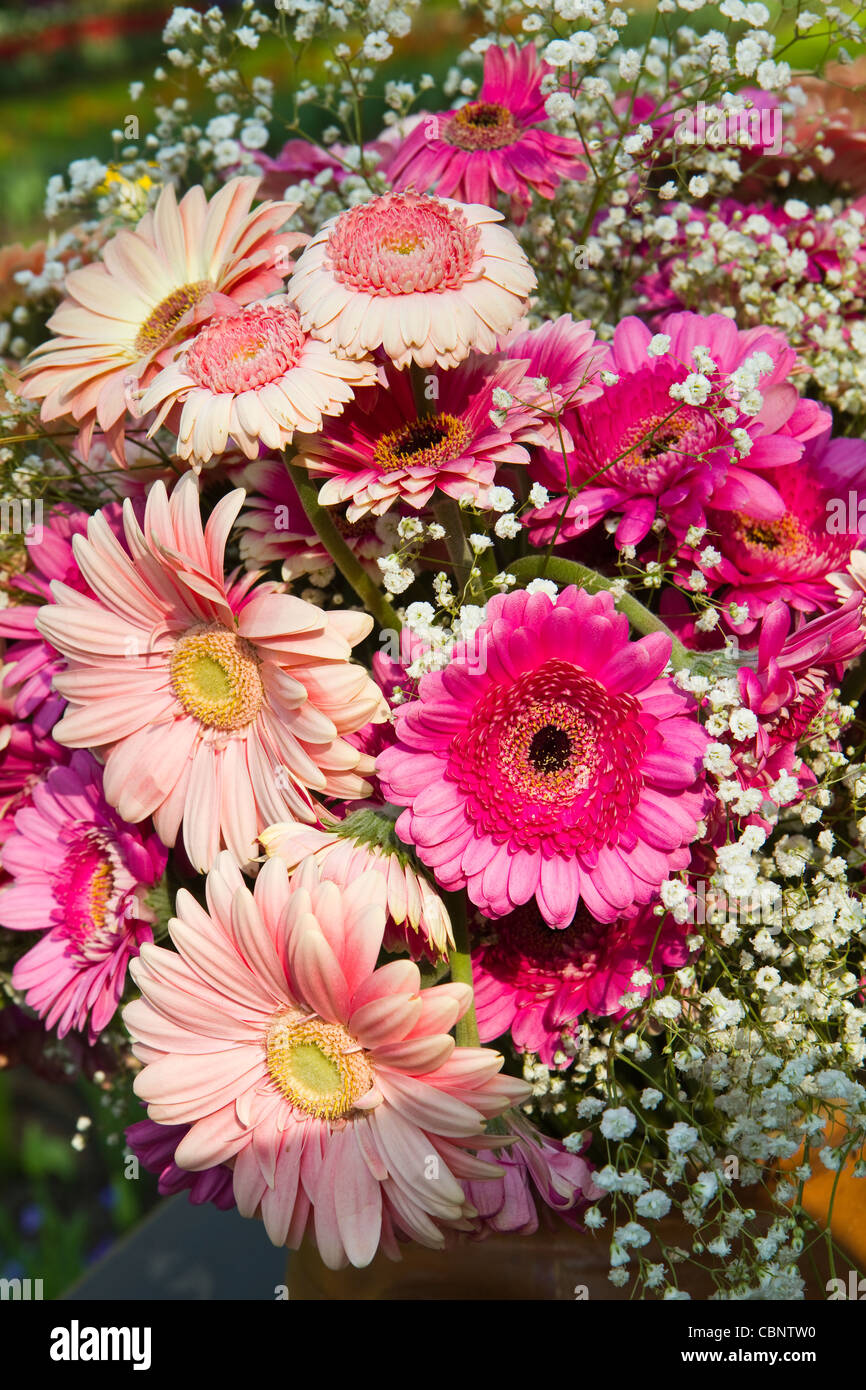 Bouquet de flores con Gerberas rosas y blancas flores gypsophyla Foto de stock