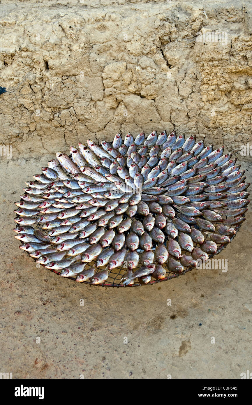 Los peces en venta en la calle; en Mopti, Malí, África occidental Foto de stock