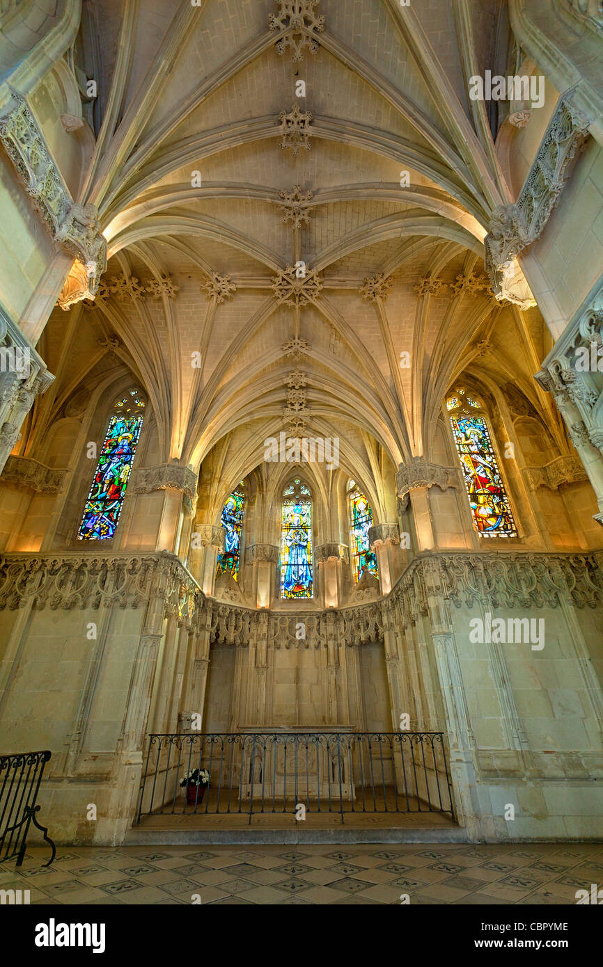 El Valle del Loira, el castillo de Amboise Foto de stock