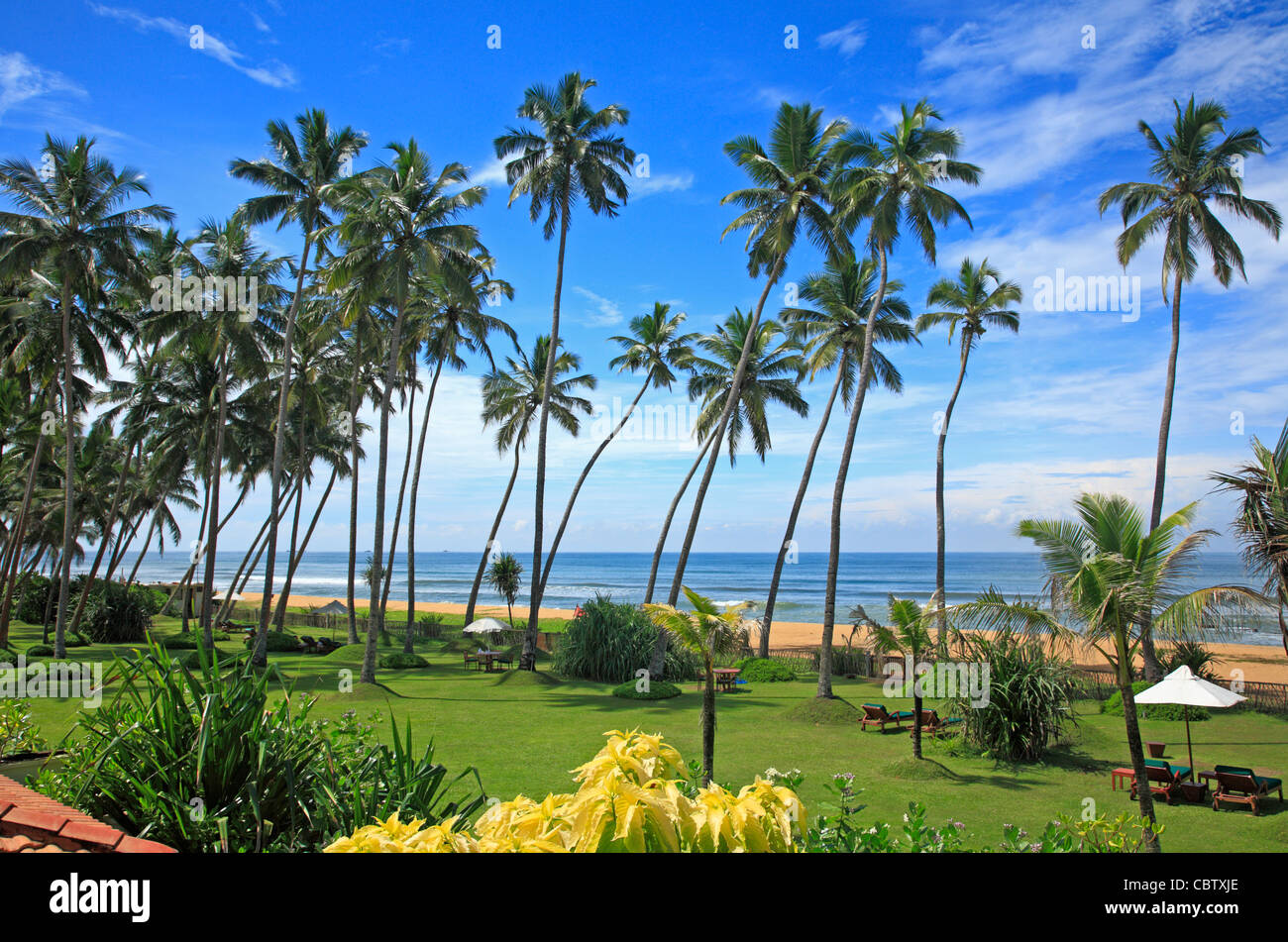 Vista desde el Hotel Paradise Wadduwa Sri Lanks Asia Foto de stock