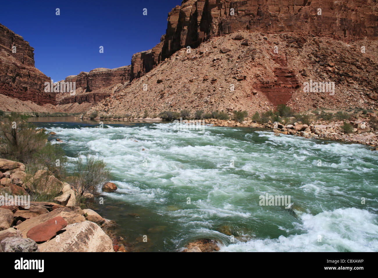 El río Colorado fluye a través de tejón Creek rápido en Marble Canyon, el Gran Cañón, Arizona Foto de stock