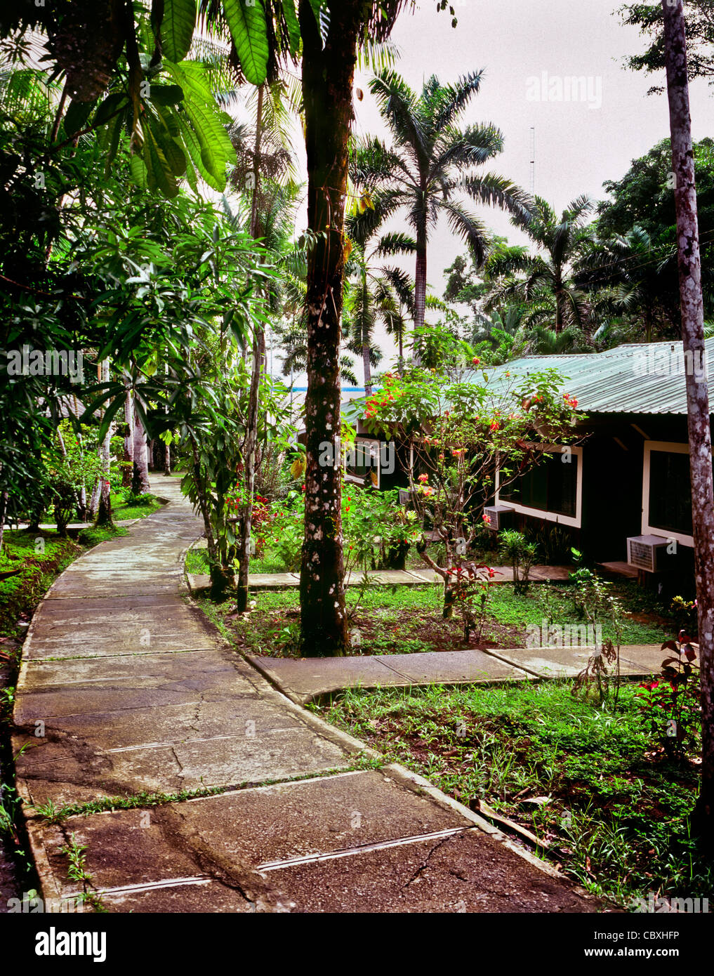Lodge apartamentos bungalow en Ceiba Tops a Explorama Jungle Lodge en la  selva norte del Perú cerca de Iquitos Fotografía de stock - Alamy