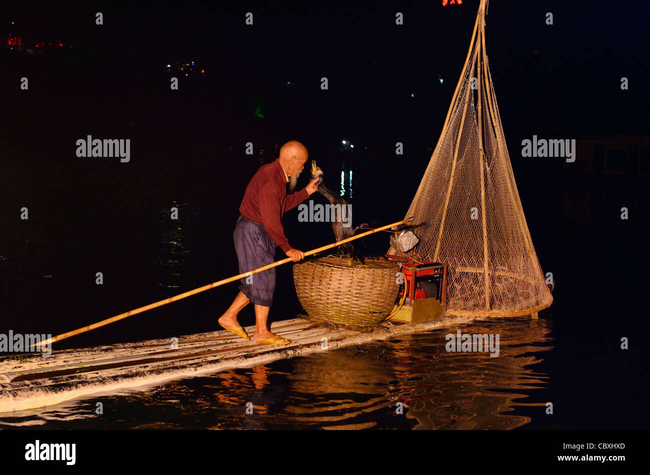 Noche chino pescador cormorán de elevación con pescado en una cesta en el río Li en Yangshuo, República Popular de China Foto de stock