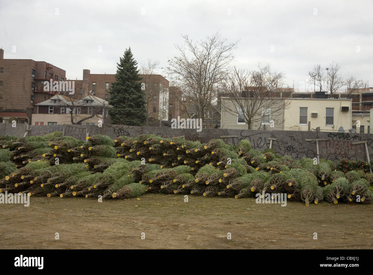 Entrega de árboles de Navidad para un centro de jardinería en Brooklyn, Nueva York Foto de stock