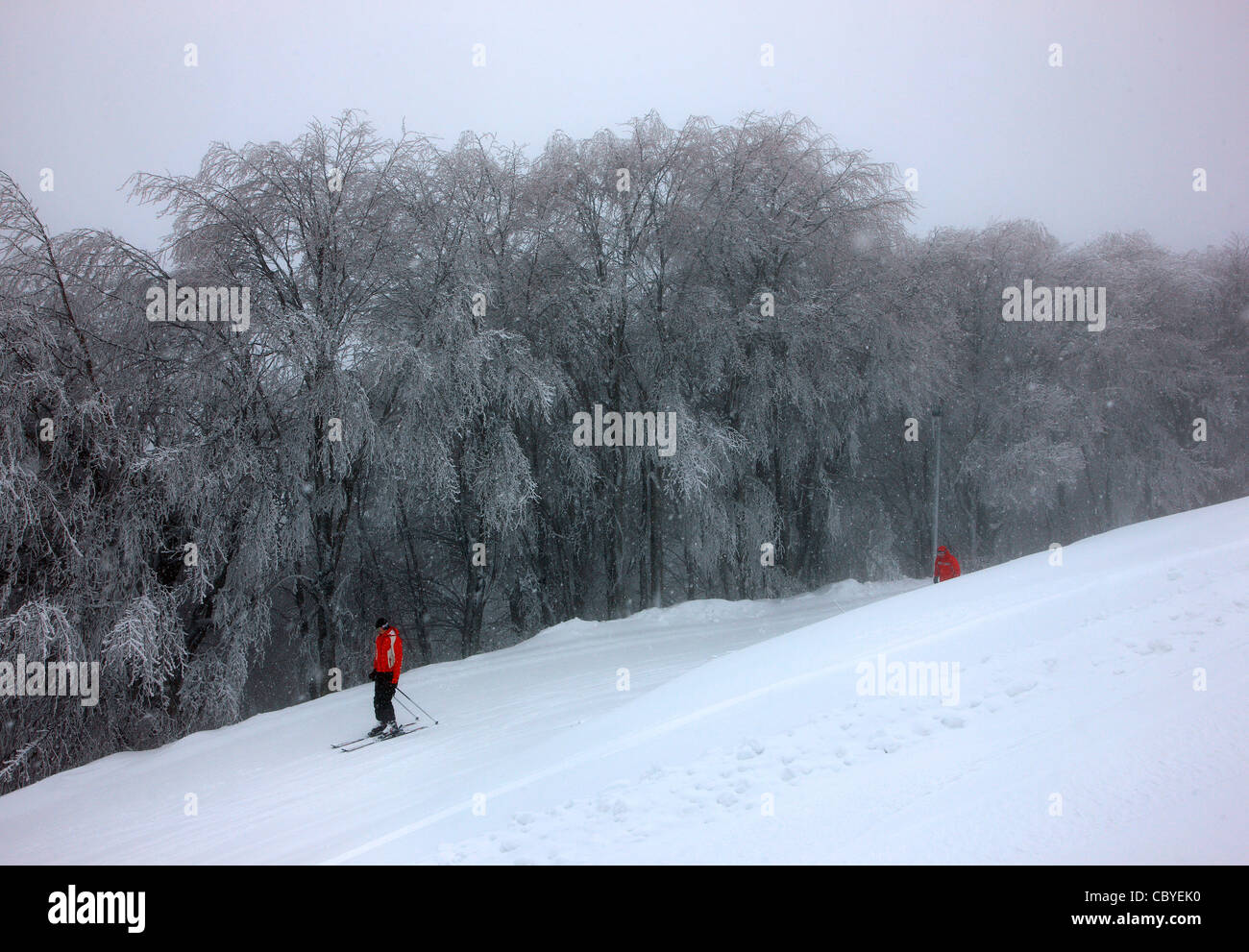 Los esquiadores en el centro de ski Agriolefkes Pelion Mountain, de la Prefectura de Magnesia, Periferia de Tesalia, Grecia Foto de stock